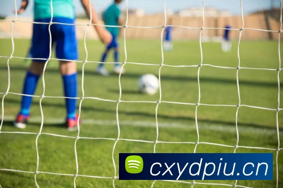 云开体育app官网入口在哪发展历程